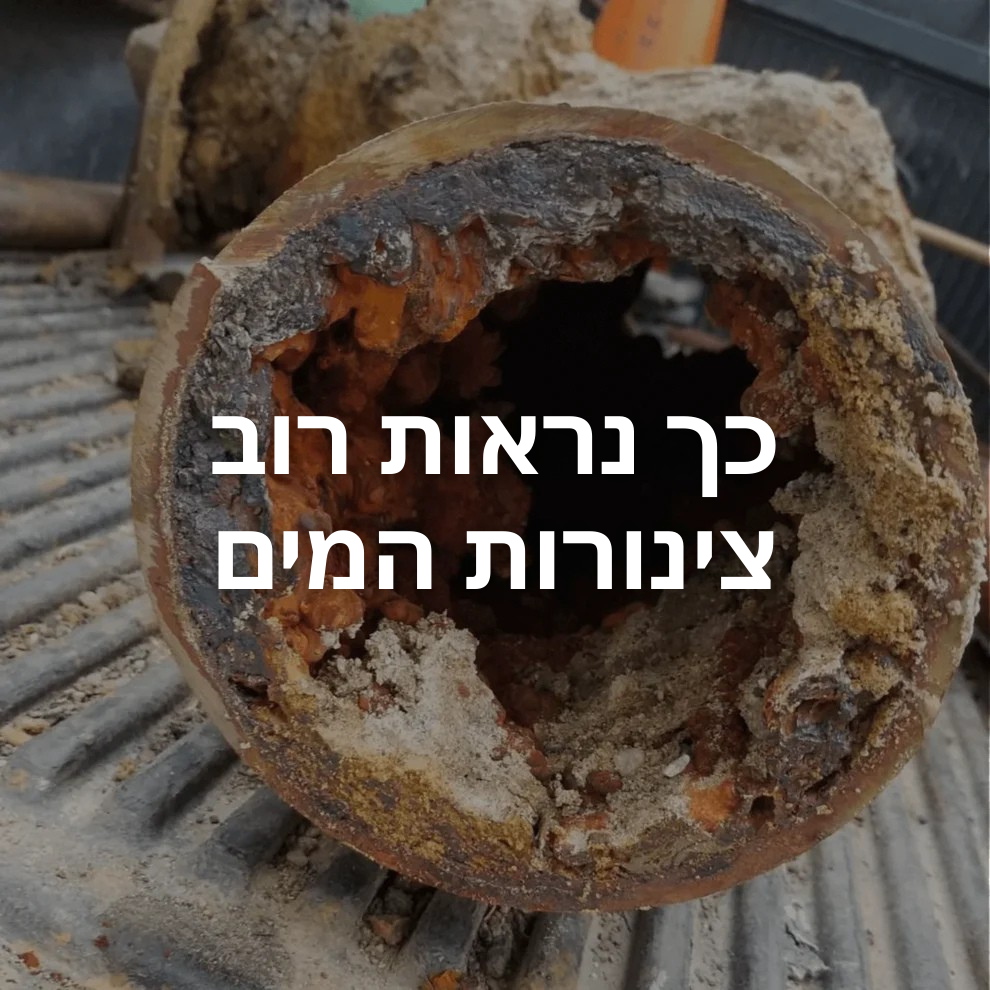 Boonality™ ראש מקלחת